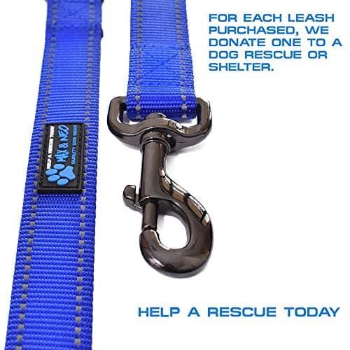 Max and Neo Double Handle Reflective Dog Leash thumbnail 3
