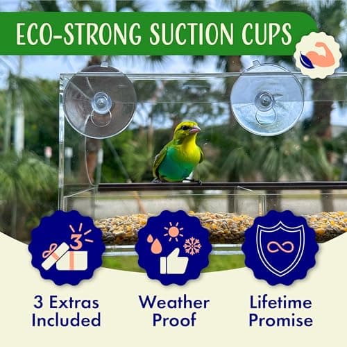 Nature's Hangout Window Bird Feeder with Strong Suction Cups thumbnail 3