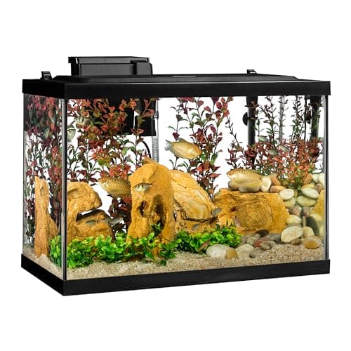 Tetra Complete LED Aquarium Kit 20-Gallon thumbnail 3