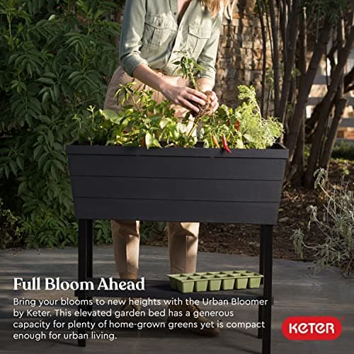 Keter Easy Grow Elevated Raised Garden Bed Planter thumbnail 4