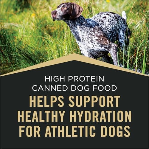 Purina Pro Plan High Protein Chicken & Rice thumbnail 5