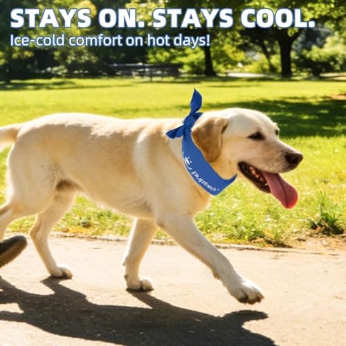 Aqua Coolkeeper Cooling Bandana for Dogs thumbnail 5
