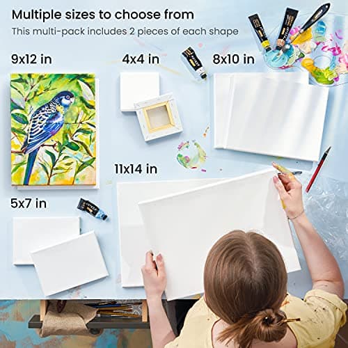 Arteza Stretched Canvas Multipack (10 Canvases, 5 Sizes) thumbnail 3