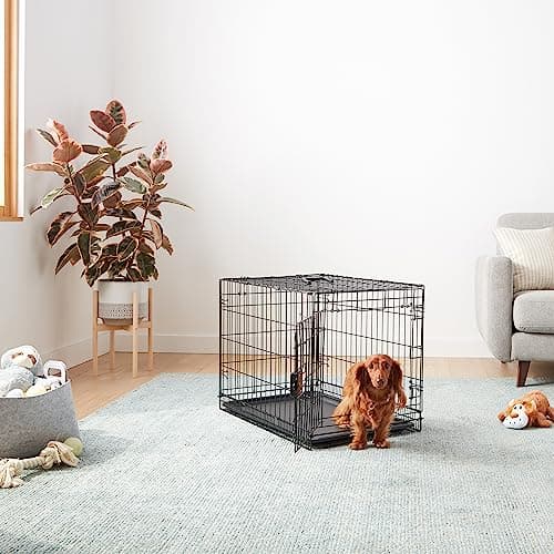 Amazon Basics Foldable Metal Wire Dog Crate thumbnail 5