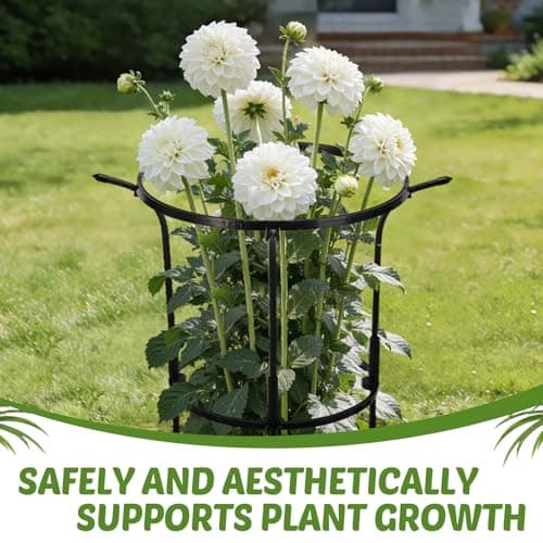 Circular Ring Bloom thumbnail 5