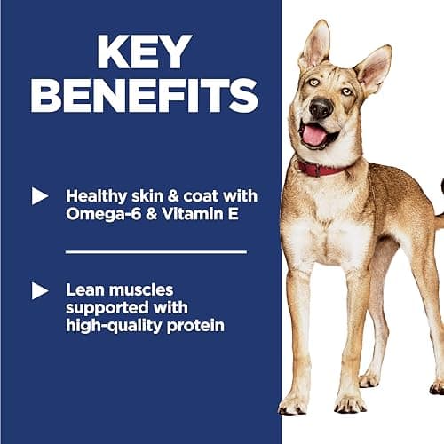 Hill's Science Diet Adult Chicken & Barley thumbnail 4