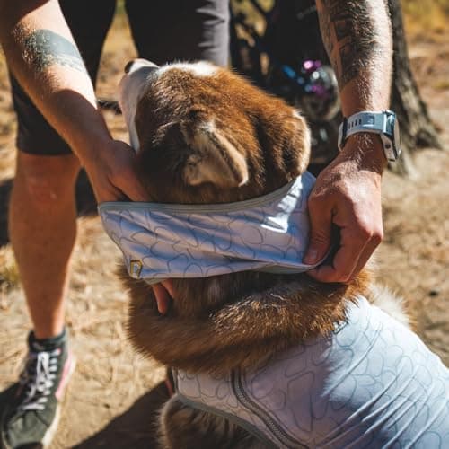Ruffwear Swamp Cooler Neck Evaporative Cooling Collar thumbnail 5