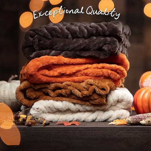 Chanasya Premium Faux Fur Throw Blanket thumbnail 5