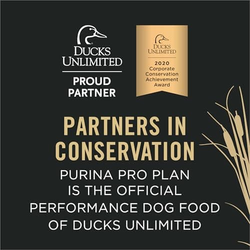 Purina Pro Plan High Protein Chicken & Rice thumbnail 4