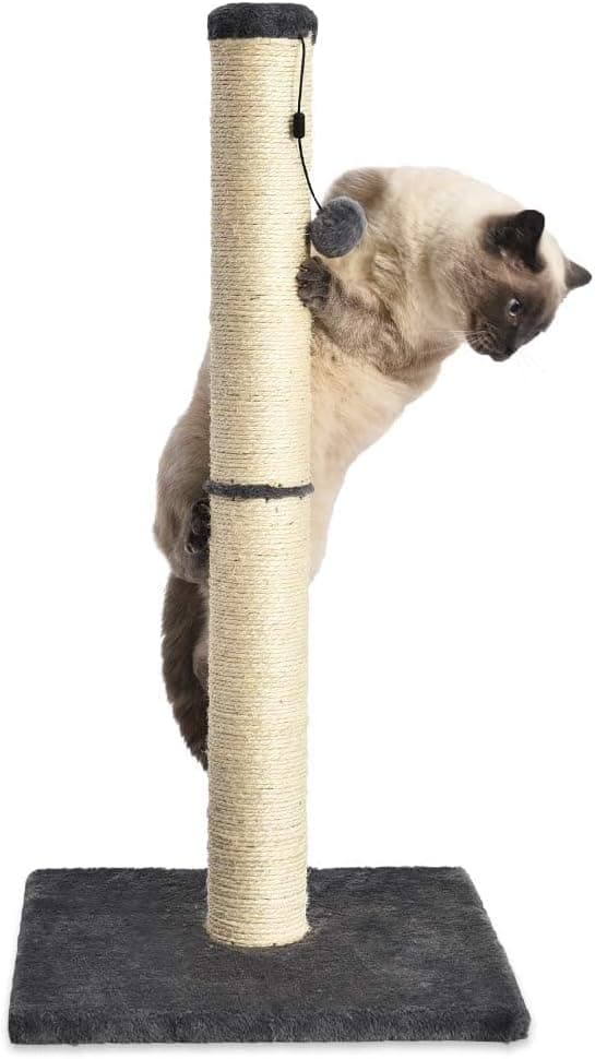 Amazon Basics Medium Cat Scratching Post 31.5" thumbnail 4