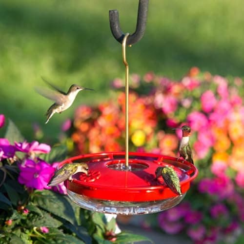 Aspects HummZinger HighView 12 oz Hummingbird Feeder thumbnail 5