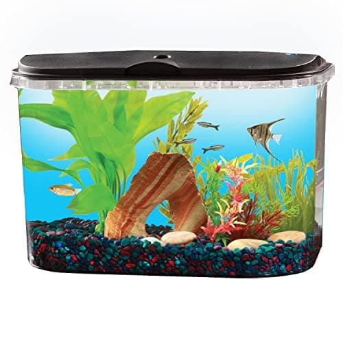 Koller Products 5-Gallon Panaview Aquarium Kit thumbnail 4