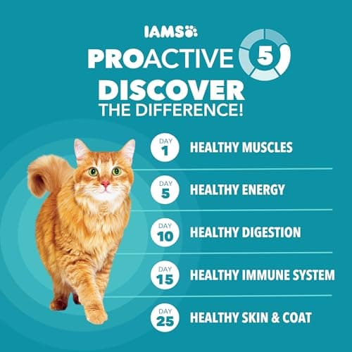 IAMS Proactive Health Indoor Weight & Hairball Care thumbnail 5