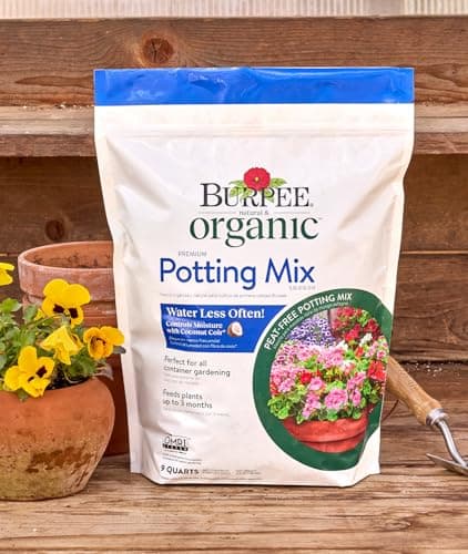 Burpee Natural & Organic Premium Potting Mix thumbnail 5