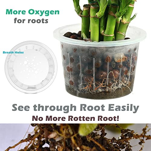 DEELF 6 Pack 6.7 Inch Self-Watering Planters thumbnail 3