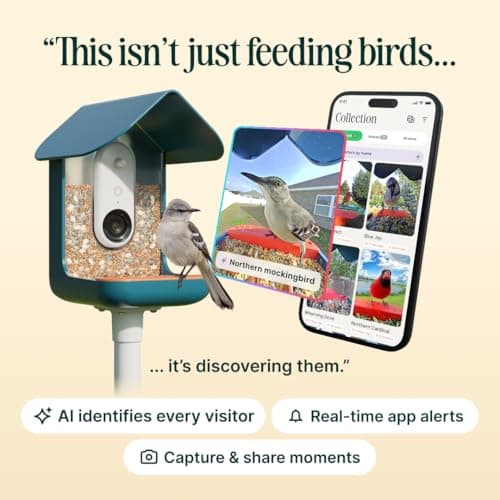 Bird Buddy Smart Bird Feeder with Camera thumbnail 4