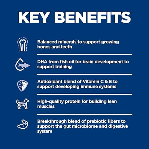 Hill's Science Diet Puppy Chicken & Brown Rice Recipe thumbnail 5