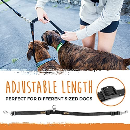 Mighty Paw HandleX2 Dual Handle Dog Leash thumbnail 2