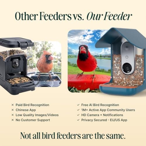 Bird Buddy Smart Bird Feeder with Camera thumbnail 3