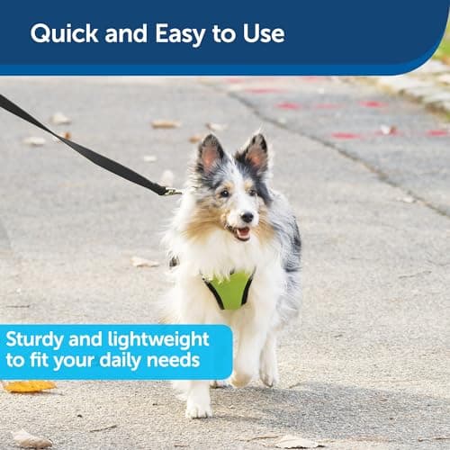 PetSafe Nylon Dog Leash thumbnail 3