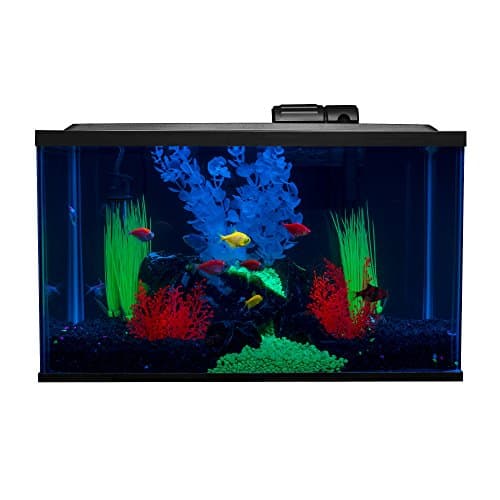 GloFish 10-Gallon Aquarium Kit - image 1