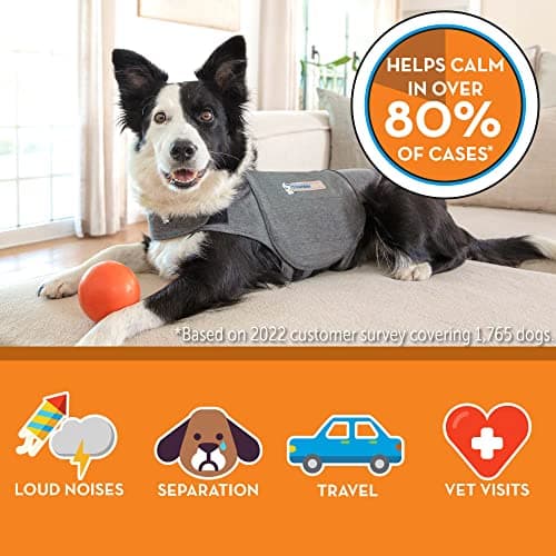 ThunderShirt Classic Dog Anxiety Jacket thumbnail 4