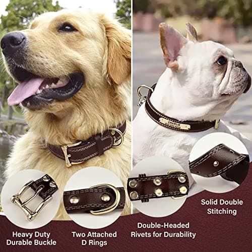 Personalized Leather Dog Collar with Engraved Nameplate thumbnail 3