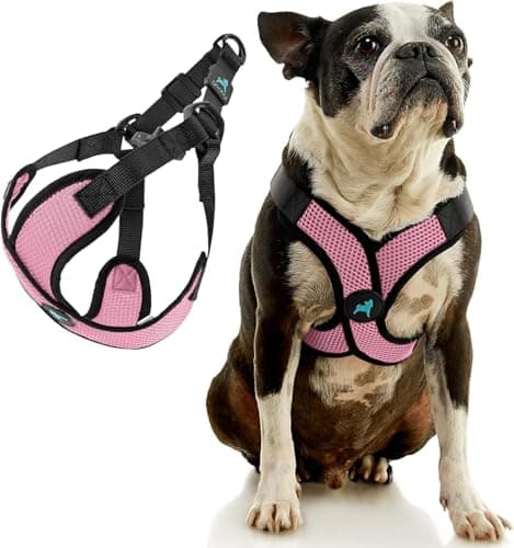 Gooby Comfort X Step-in Harness thumbnail 3