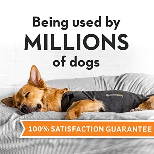 ThunderShirt Classic Dog Anxiety Jacket thumbnail 2