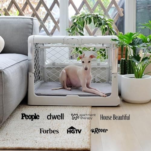 Diggs Revol Collapsible Dog Crate thumbnail 5