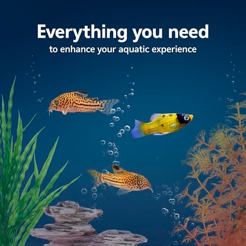 Aqueon Aquarium Starter Kit with SmartClean 10 Gallon thumbnail 2