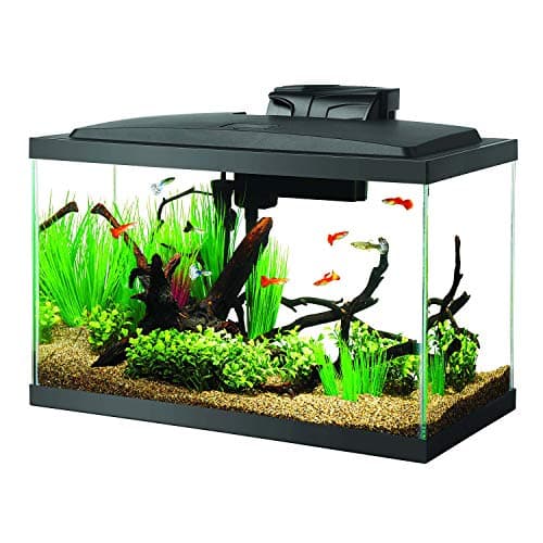 Aqueon LED Aquarium Kit 10-Gallon - image 1