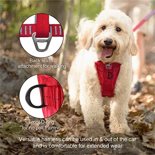 Kurgo Tru-Fit Smart Dog Harness thumbnail 3