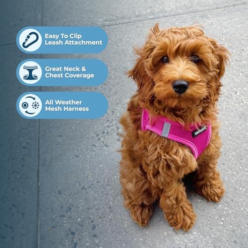 Best Pet Supplies Voyager Step-in Air Harness thumbnail 3