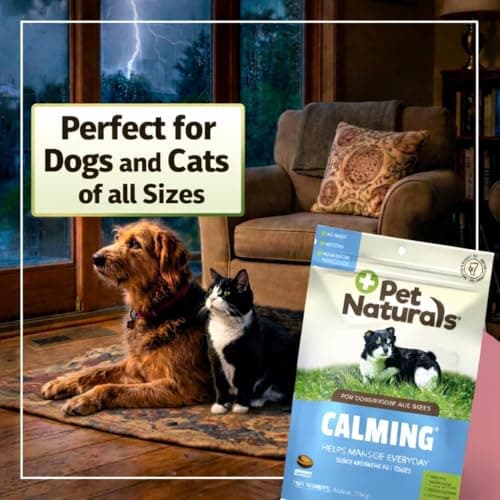 Pet Naturals Calming Chews for Dogs thumbnail 4