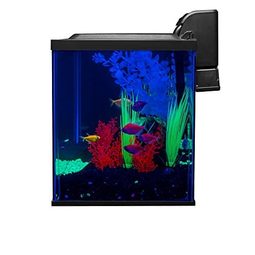 GloFish 10-Gallon Aquarium Kit thumbnail 2