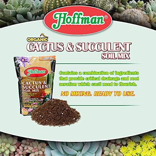 Hoffman 10410 Organic Cactus and Succulent Soil Mix thumbnail 2