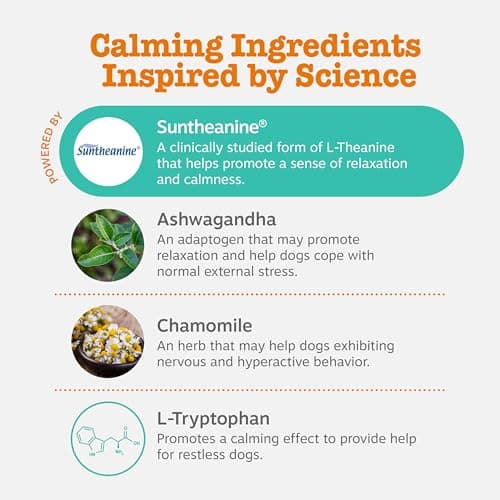 Zesty Paws Calming Bites for Dogs thumbnail 3
