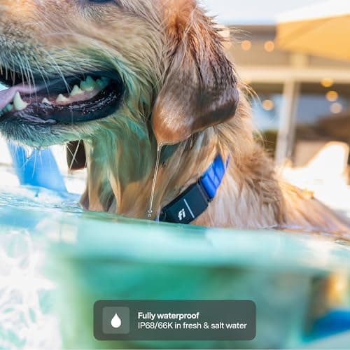 Fi Series 3 Smart GPS Dog Collar thumbnail 2