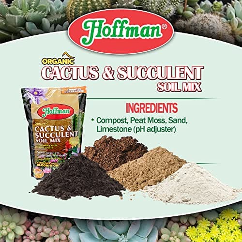 Hoffman 10410 Organic Cactus and Succulent Soil Mix thumbnail 4