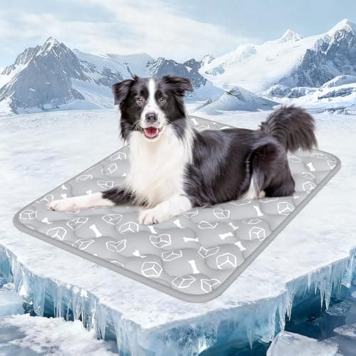 Petsfit Cooling Mat for Dogs - image 1