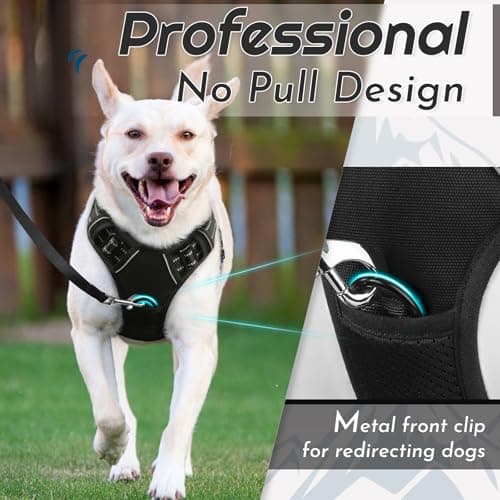 Eagloo No Pull Dog Harness thumbnail 2