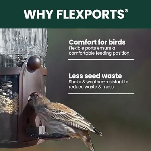 Perky-Pet Squirrel-Be-Gone Max Large Wild Bird Feeder thumbnail 4