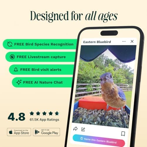 Bird Buddy Smart Bird Feeder with Camera thumbnail 5