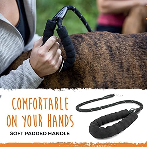Mighty Paw HandleX2 Dual Handle Dog Leash thumbnail 4