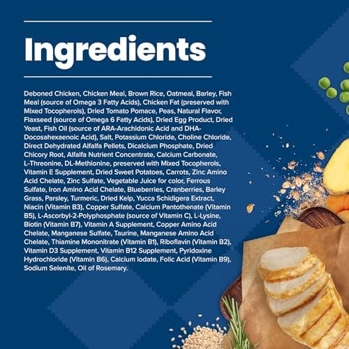 Blue Buffalo Life Protection Formula Puppy Chicken & Brown Rice thumbnail 5