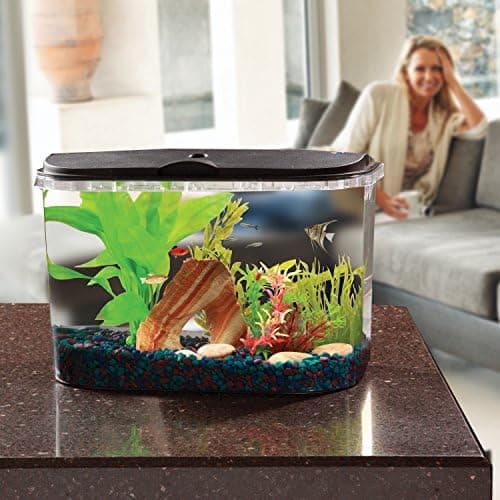 Koller Products 5-Gallon Panaview Aquarium Kit thumbnail 5