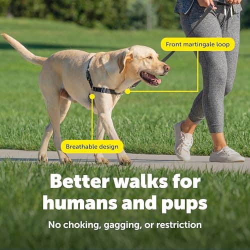 PetSafe Easy Walk No-Pull Dog Harness thumbnail 5