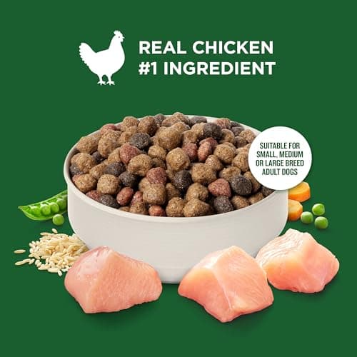 Rachael Ray Nutrish Premium Natural Chicken & Veggies thumbnail 4