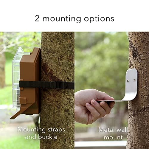 Wasserstein Bird Feeder Camera Case thumbnail 5